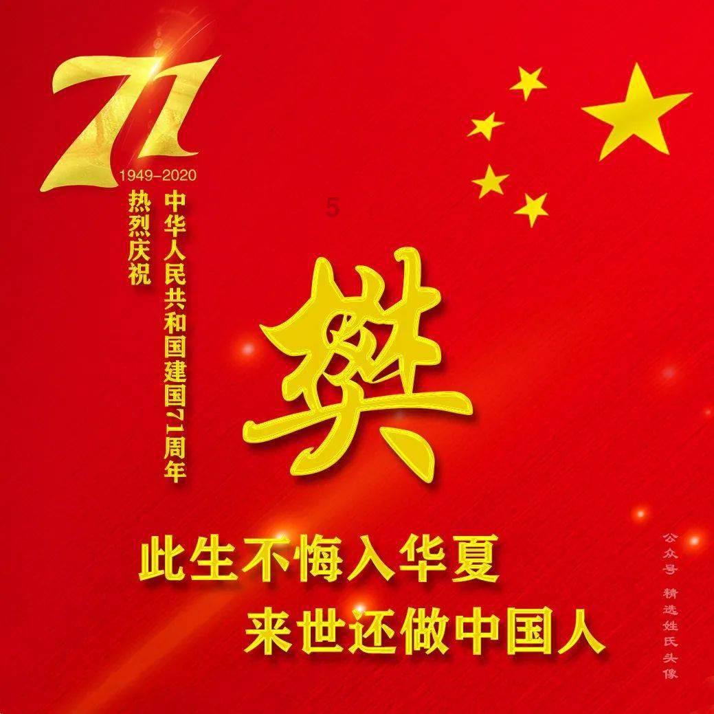 飞扬的方块鸟