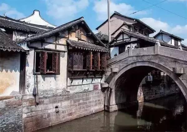 动物帮帮忙保卫家园
